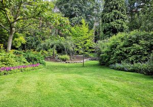 Optimiser l'expérience du jardin à Saint-Hilaire-Petitville